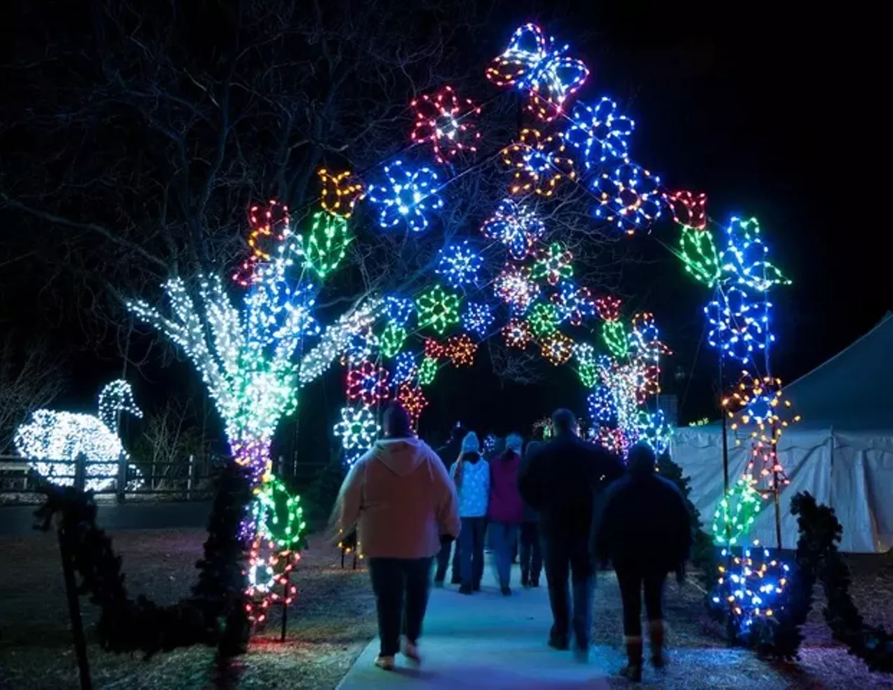 Wild Lights 8450 W. 10 Mile Rd., Royal Oak Wild Lights is a metro Detroit treasure. Held at the Detroit zoo every year, more than five million LED lights will illuminate trees, buildings, and more than 200 animal sculptures throughout the front half of the Zoo. More information is available at wildlights.detroitzoo.org.