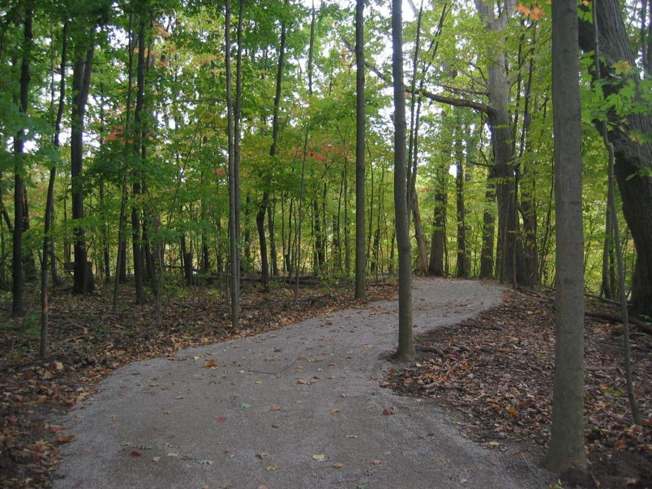 Carpenter Lake Nature Preserve
10 Mile Road, east of Inkster in Southfield
Just 30 minutes outside of Detroit is 42 acres of woodlands, forested wetlands, and native meadows, all of which surround Carpenter Lake and it's still one of southeast Michigan's best kept secrets.
Southfield Parks and Recreation/Facebook