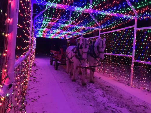 Davison Township Trail of Lights
    10069 E. Atherton Rd., Davison; 810-214-1810; register.dtparks.com/CourseActivities/holidays; Tickets are $2 for walk-thru and $10 for horse wagon rides.
    Walk this way&#133; to Santa&#146;s sleigh! The Division Trail of Lights walking night tour at the Robert Williams Nature And Historical Learning Center. Each year the event&#146;s horse-drawn carriage rides sell out (though, this year, there are select spots available and guests can also sign up to be waitlisted), but the walking portion of this illuminated happening is available Dec. 6, 20, 21, and 26 starting at 5:30 p.m. 
      
    Photo via Davison Department of Parks and Recreation