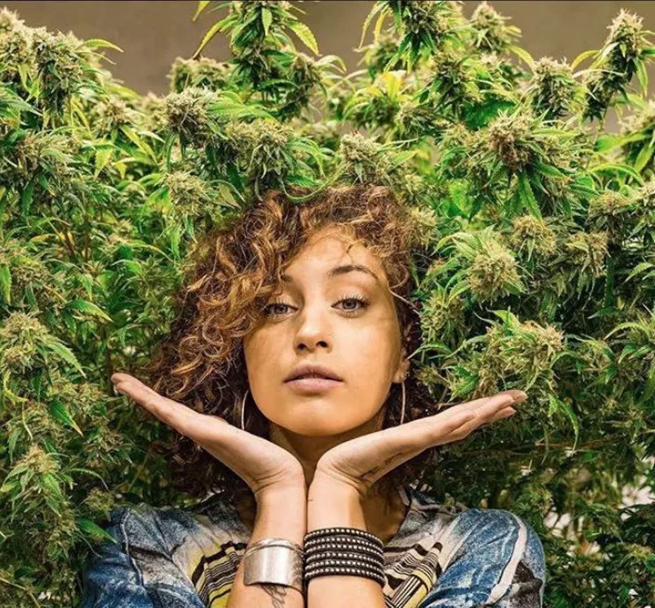  Jena Irene Asciutto American Idol runner-up Jena Irene Asciutto is far deeper than her mainstream reality TV roots. The 2017 Metro Times cover girl blew us away with her under-appreciated debut album, Cold Fame . Photo via Instagram/ By Doug Coombe