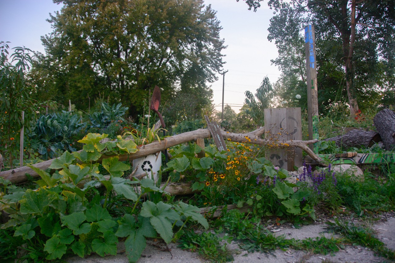 Fallen trees and found materials help form the border for this kugelkultur garden. A red shovel stands as a monument to Sara's dedication to the project.