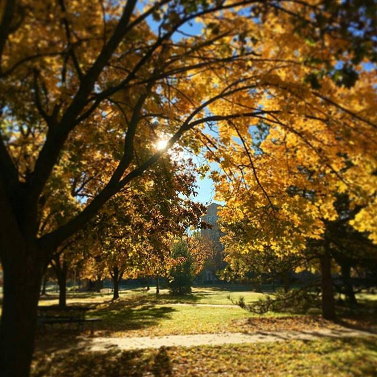 Mount Pleasant
Mount Pleasant is a good place to keep busy. You can explore the campus of Central Michigan University, dine, and go shopping. It is a lively and fun area to look at the sights of fall. Photo via Instagram user,  mtpleasantcvb