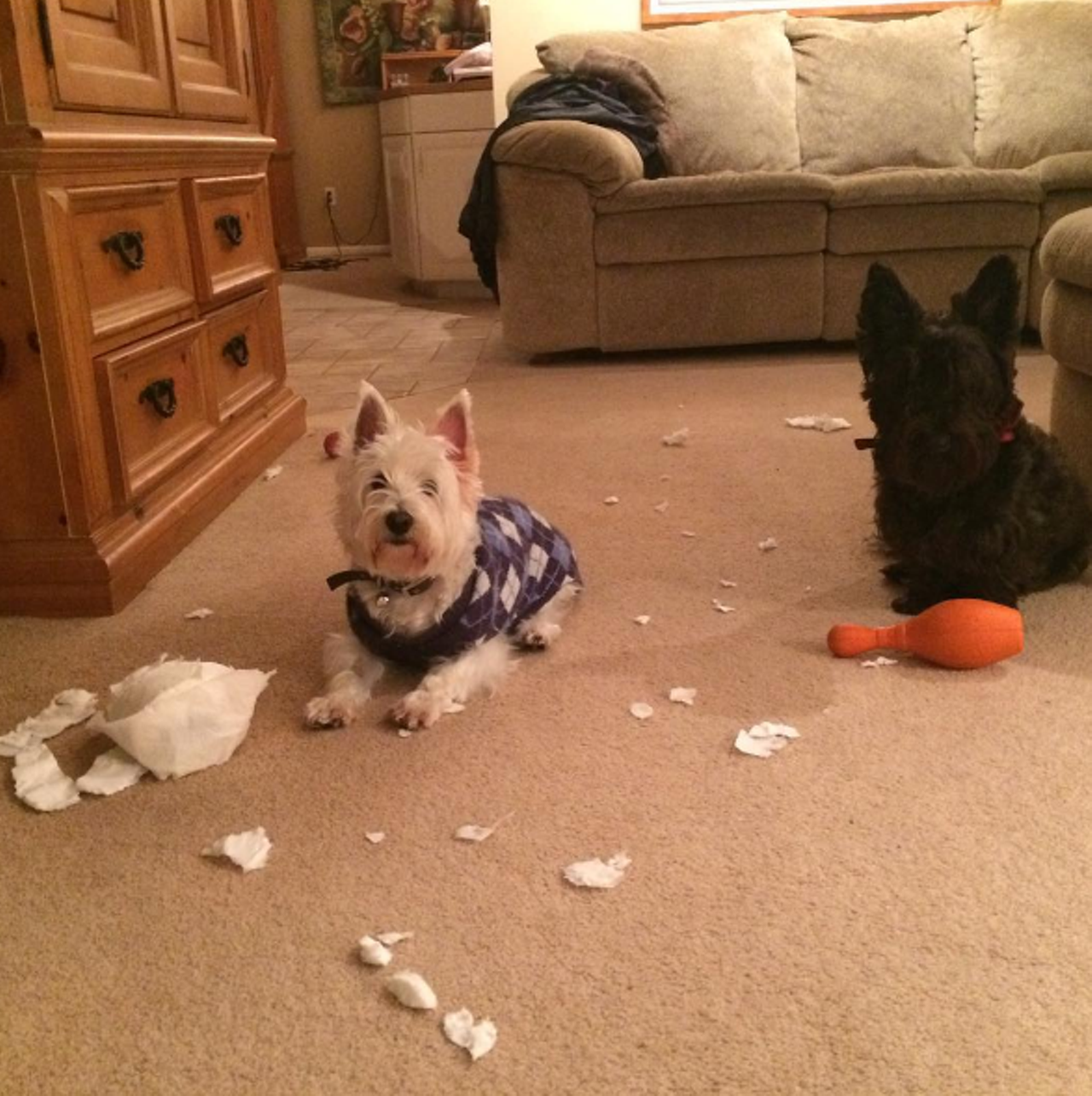 Uh oh..... Max and Lilly @simplycathrineann