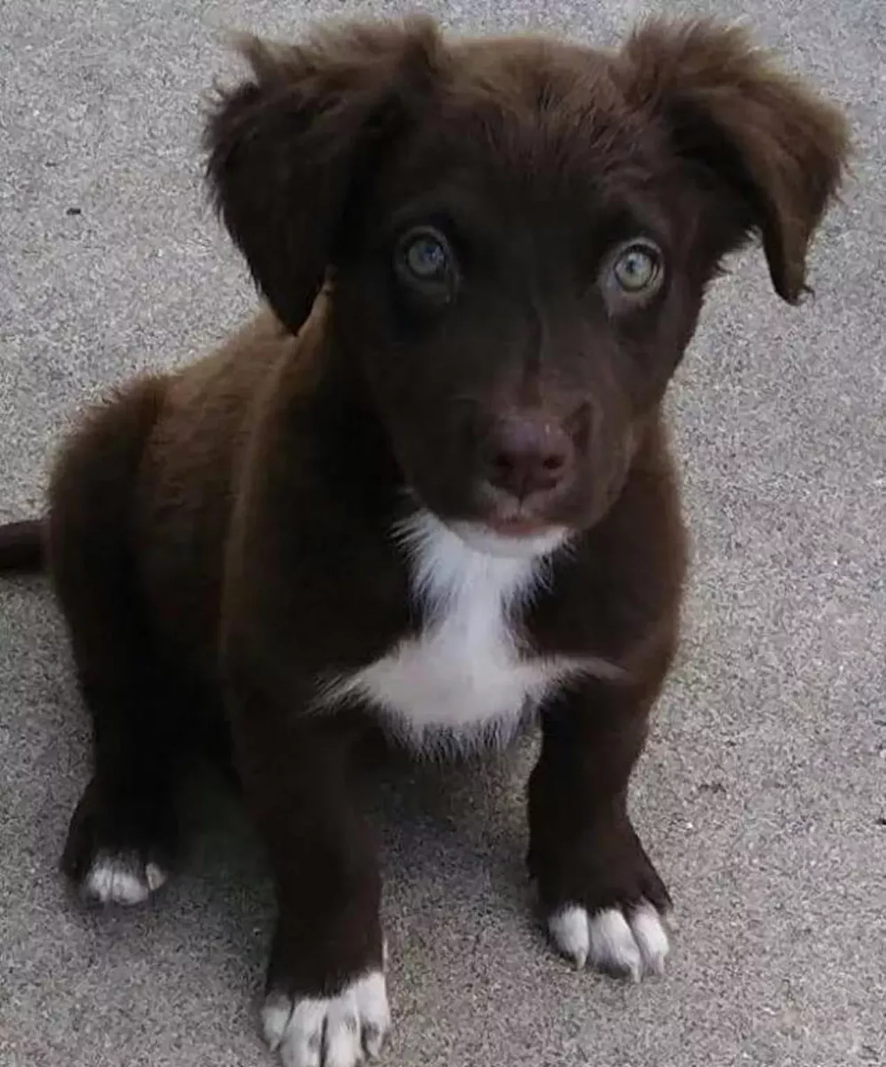 Sophie THOSE. EYES.