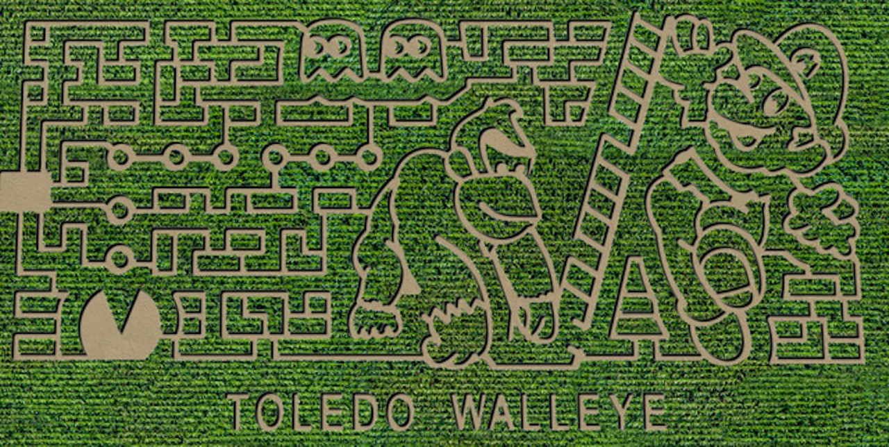 Kackleberry Farms
6421 N. Stoney Creek Rd., Monroe; 734-240-0825; kackleberryfarm.com
This year&#146;s maze at Monroe&#146;s Kackleberry Farms is not a game &#151; it&#146;s based on games. An ode to Mario, Donkey Kong, and Pac-Man, Kackleberry Farms is giving us life &#151; or lives, if you&#146;re lucky &#151; with their 12-acre 2020 maze, which can be completed at night with flashlights and some help from the farm&#146;s Corn Cops. If you want to steer clear of the maize patrol, the farm offers hayrides, bonfires, games, and Nana&#146;s Pumpkin Patch, where you can pluck your favorite pump. 
Photo via Farmer Charley&#146;s Kackleberry Farms/Facebook