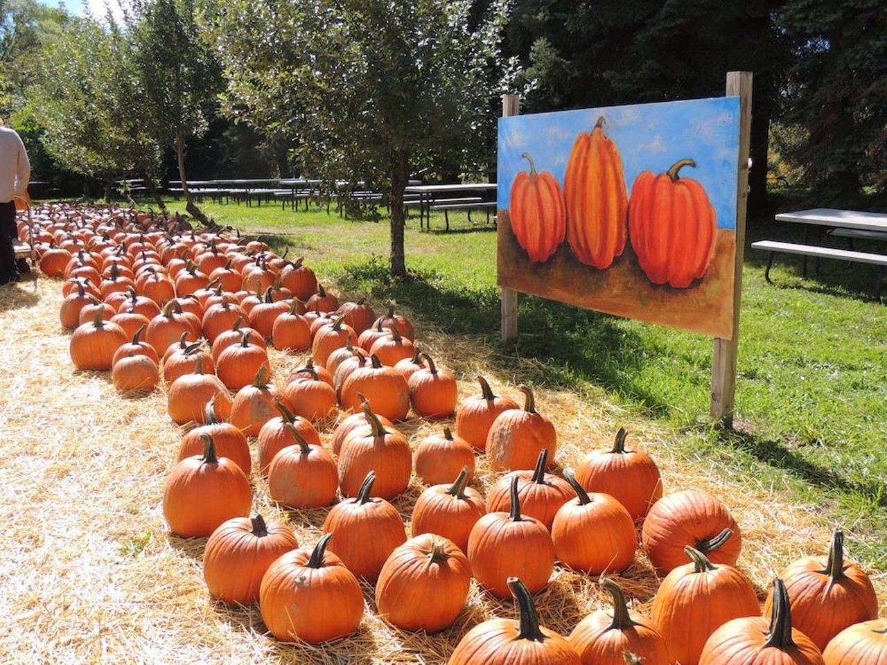 Obstbaum Orchards & Cider Mill
9252 Currie Rd., Salem; 248-468-9180; obstbaum.com
The pumpkins are popping at family-operated Obstbaum Orchards and Cider Mill in Salem, which has been serving the community for 40 years. They&#146;ve got hayrides, treats, and apples, too.
Photo via Obstbaum Orchards & Cider Mill/Facebook