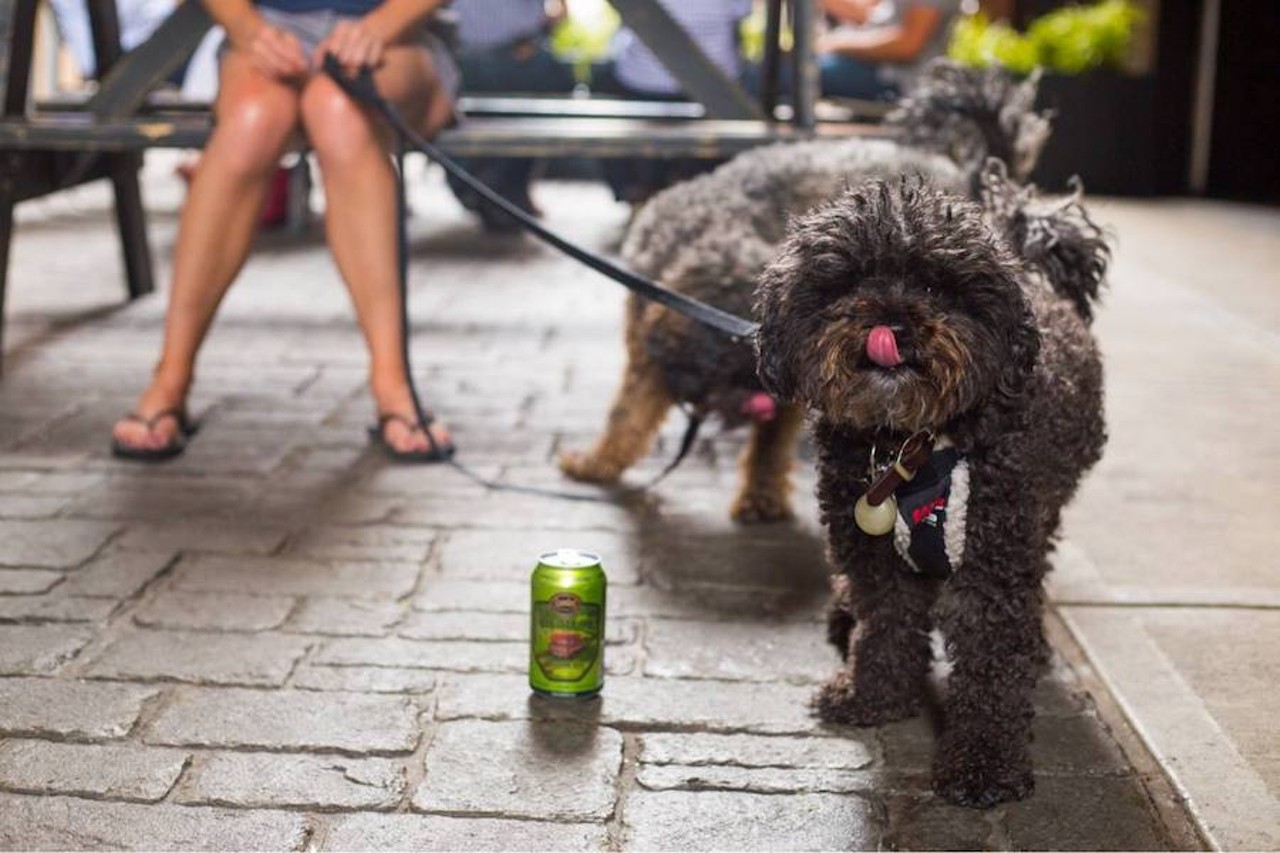The Skip
The Belt, Detroit; theskipdetroit.com
If you're looking for a prime opportunity to snag a Instagrammable snap with you and your fur child, look no further than The Skip. This trendy cocktail spot located in The Belt is dog-friendly. 
Photo via The Skip/Facebook