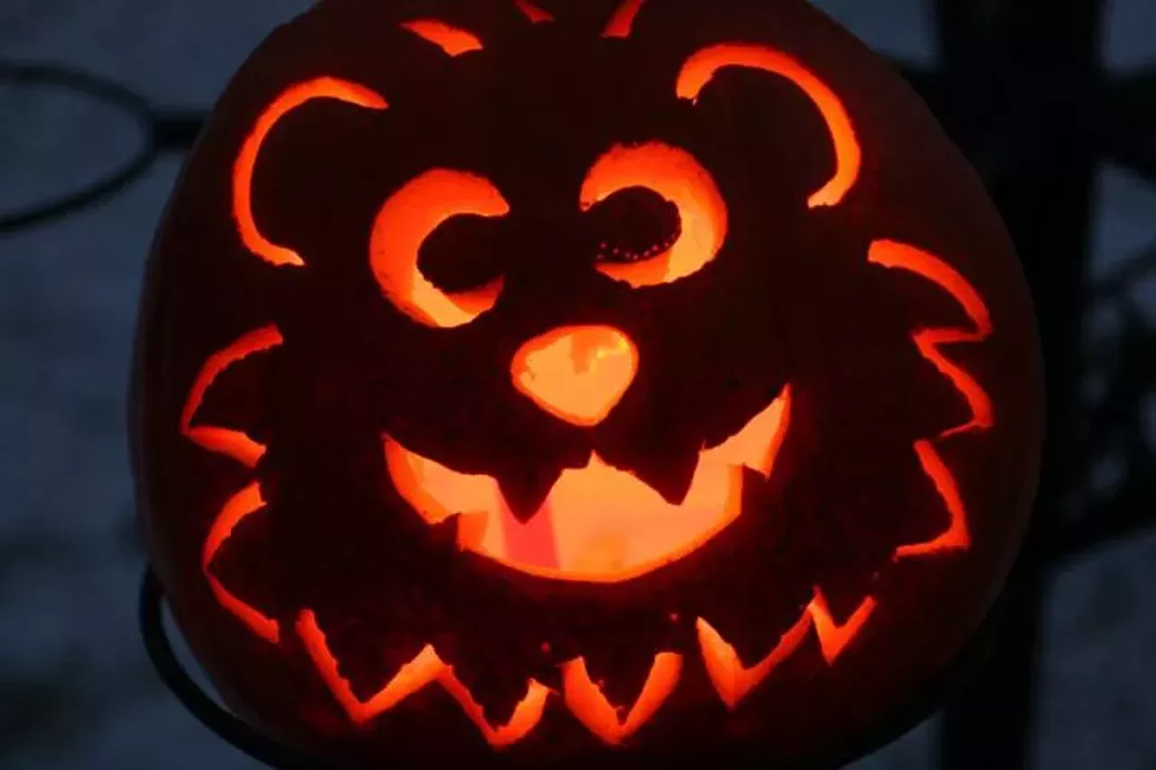  Zoo Boo Friday-Sunday, October 7-9, 14-16, and 21-23 @ Detroit Zoo 8450 W. 10 Mile Road, Royal Oak 5- 8 p.m. Zoo Boo is the cutest god damn event in the entire world. You get to see the animals at the Zoo, and a bunch of adorable little kids dressed up in Halloween costumes (bonus points if they're dressed like an animal) walk around and Trick-or-Treat. And don't forget all the fun activities like extreme pumpkin carving and the craft tent.