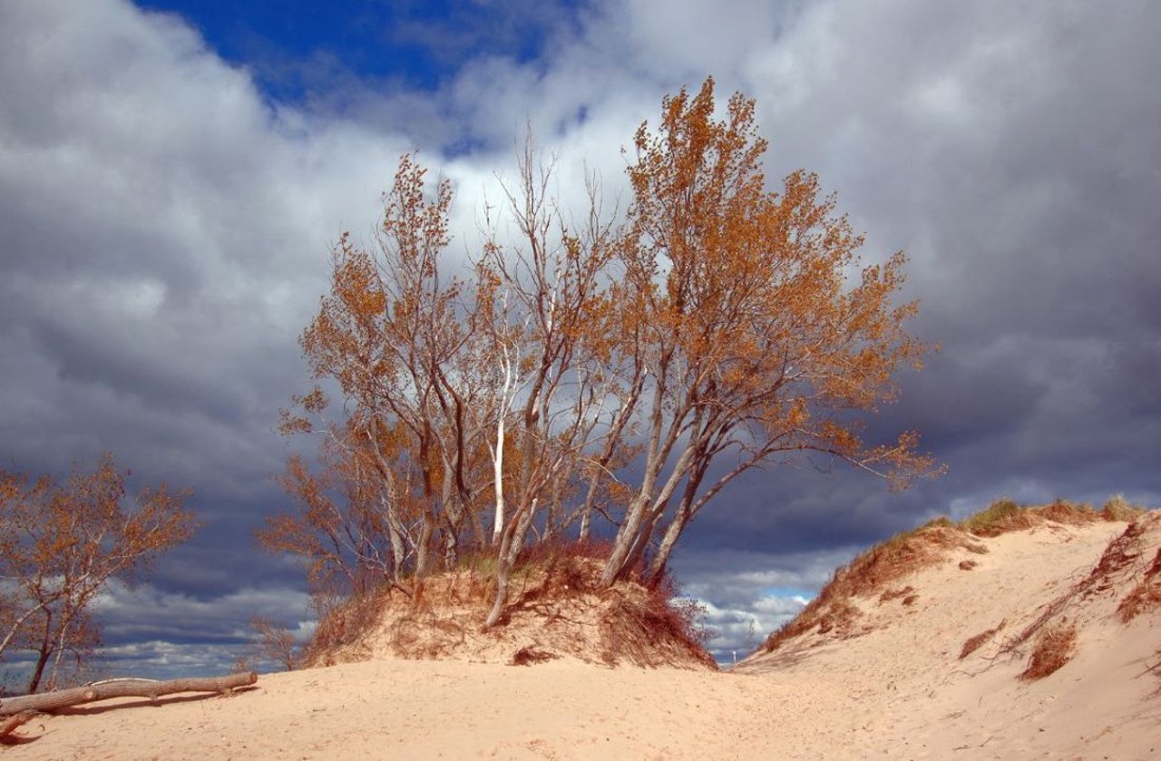 Sleeping Bear Dunes
Empire, MI
A hike along Michigan&#146;s most famous dunes is the perfect way to welcome cooler temperatures and changing leaves. 
Photo via gabe popa / Flickr Creative Commons
