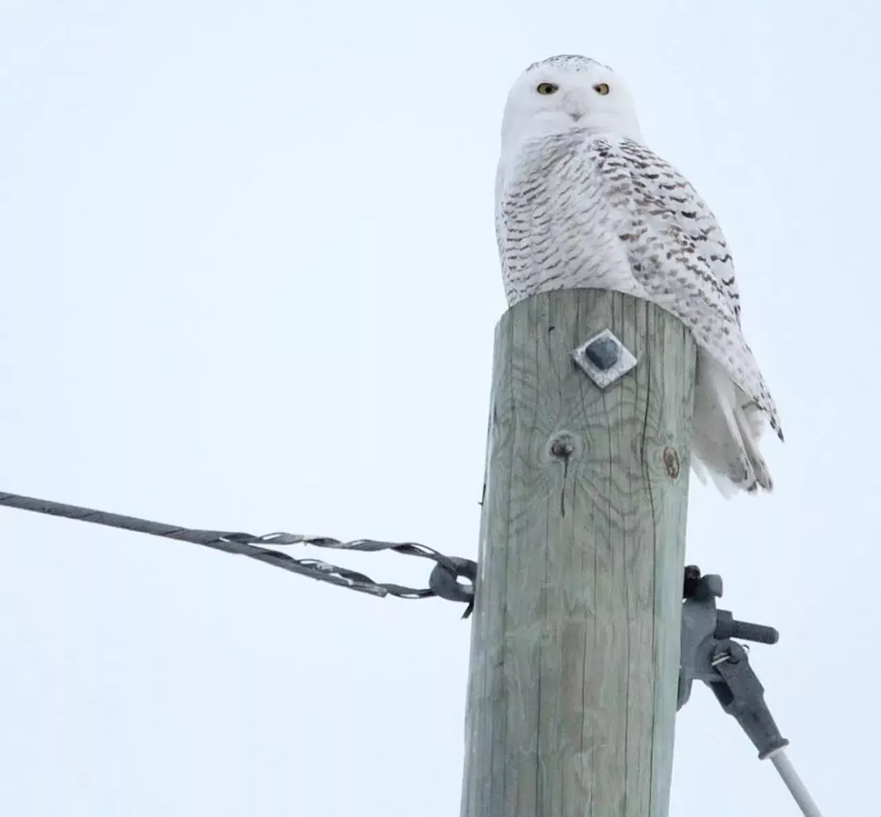 Photo taken near Ontario. Photo via @MrsMc1ntyre, Instagram