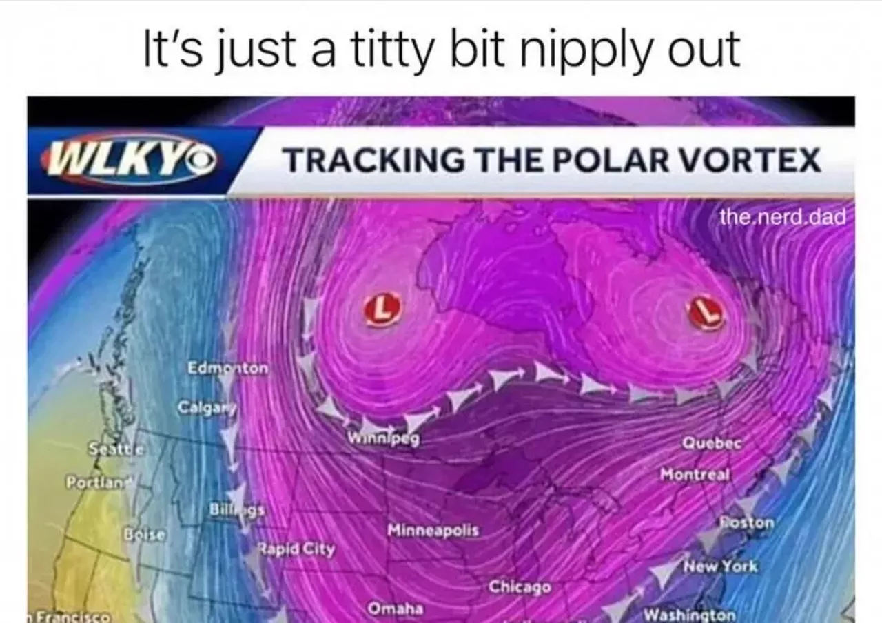 Image: 20 memes that perfectly encapsulate how Michiganders feel about the polar vortex