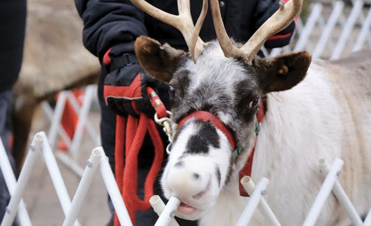 Winterfest Market in Dearborn
Wagner Park, Michigan Avenue and Monroe Street, Dearborn; events.getlocalhop.com/downtown-dearborn
On Saturday, Dec. 12, Downtown Dearborn&#146;s Wagner Park will transform itself for its annual Winterfest Market. In addition to an outdoor market with more than 30 local vendors, Winterfest Market will host ice carving demonstrations, live reindeer, free pictures with Santa, and, for those who register in a timely fashion, breakfast with Santa, which offers kids some grub and a socially distanced photo and some much-needed caffeine fix via complimentary coffee for the parents.
Photo courtesy of the Dearborn DDA