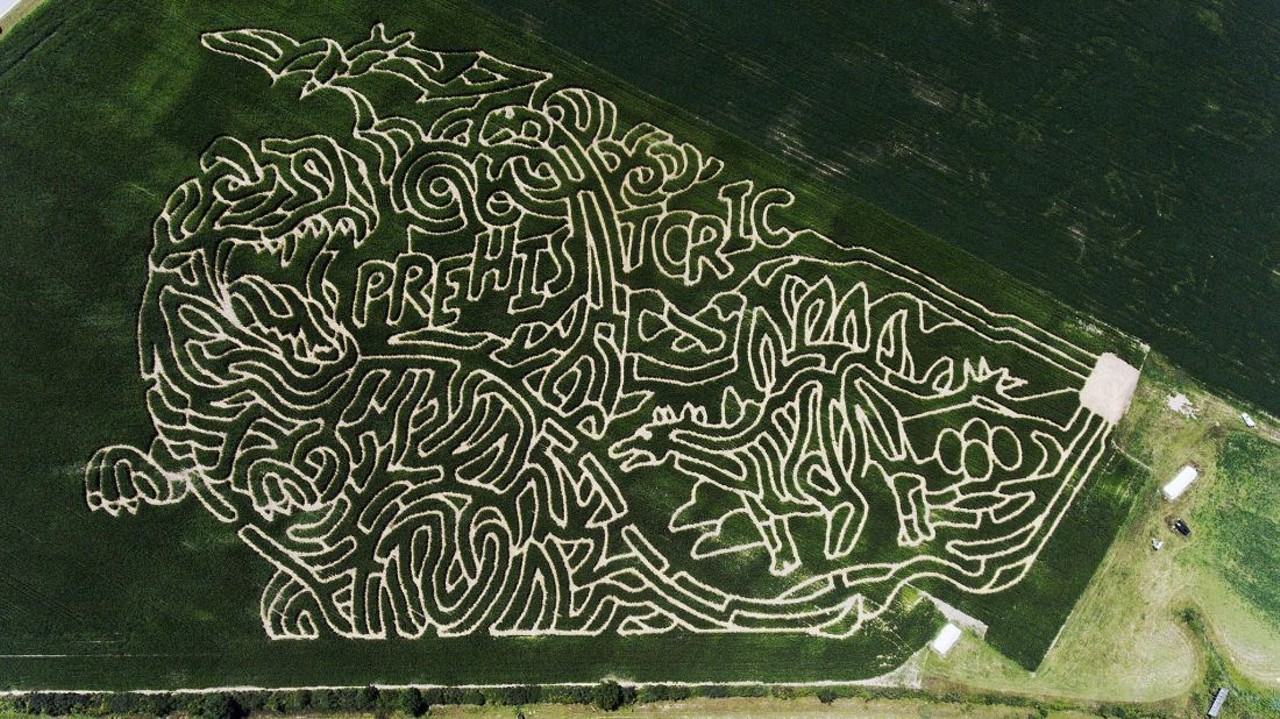 Farmer J's Corn Maze
Up until Oct 30, you and your family and friends can check out this incredibly intricate corn maze that is located in Dundee, MI. This year&#146;s corn maze looks like so much fun that is filled with lots of twist and turns. 
16405 Pherdun Rd., Dundee 
734-717-2376
Open Friday 6 p.m. - 10 p.m. & Sat-Sun 1 p.m.- 10 p.m.
Photo via Facebook user @Jeremy'sDroneAdventures