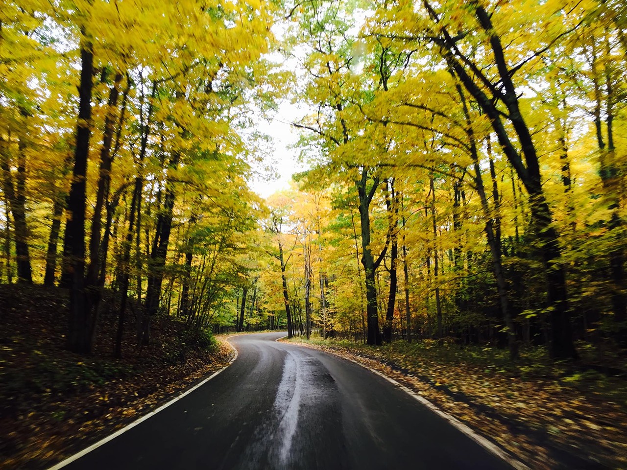 See colorful leaves
Red, gold, and orange leaves light up Michigan parks and trails in the fall. A scenic drive or simple walk in Belle Isle is all you need to get a beautiful look. Plus, the colorful foliage makes for great photo ops.