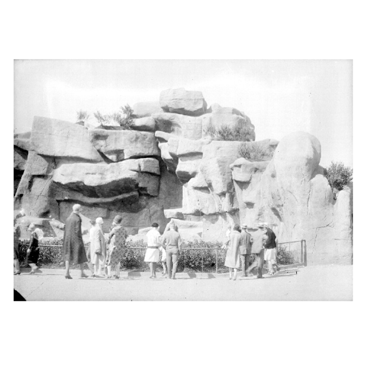 Lions on the cliffs (circa 1928)