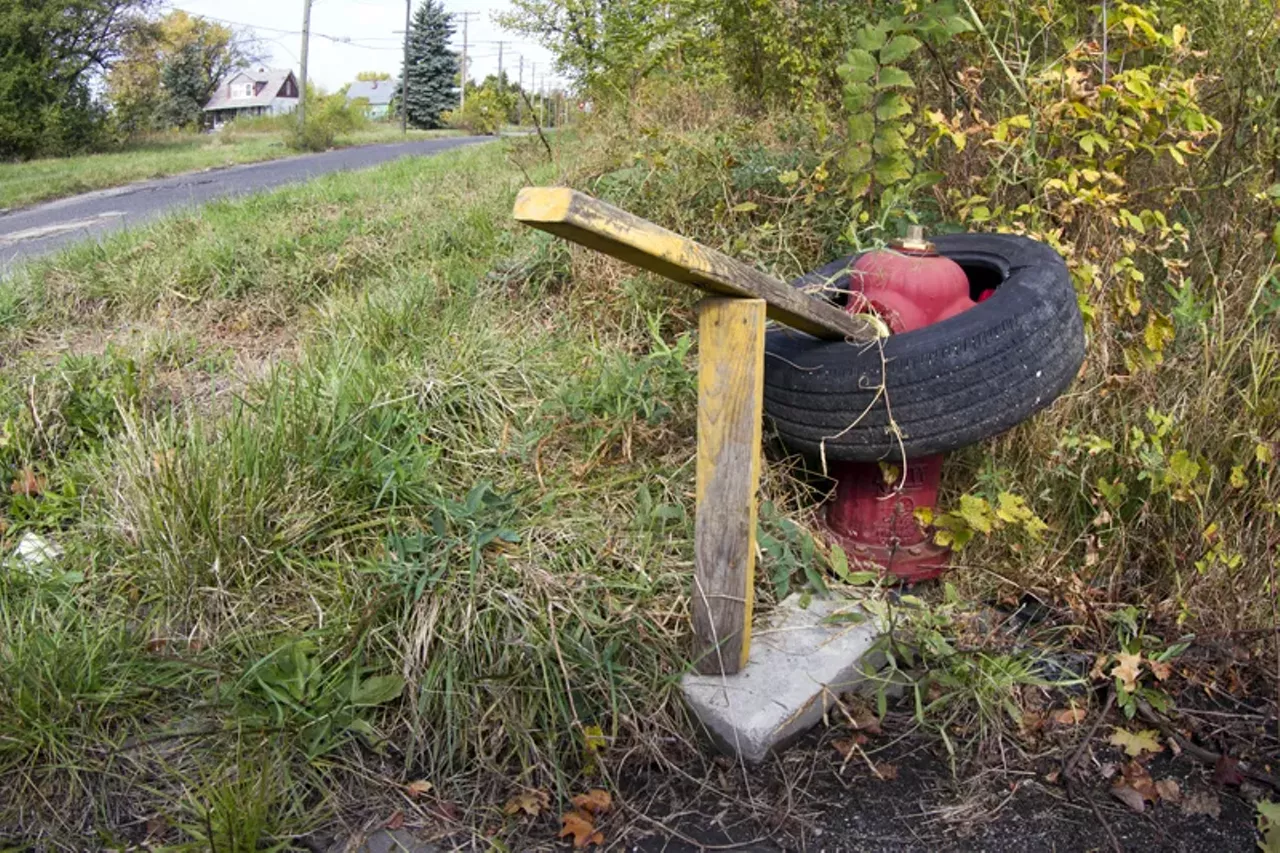 Image: 20 photos showing how nature is reclaiming Detroit