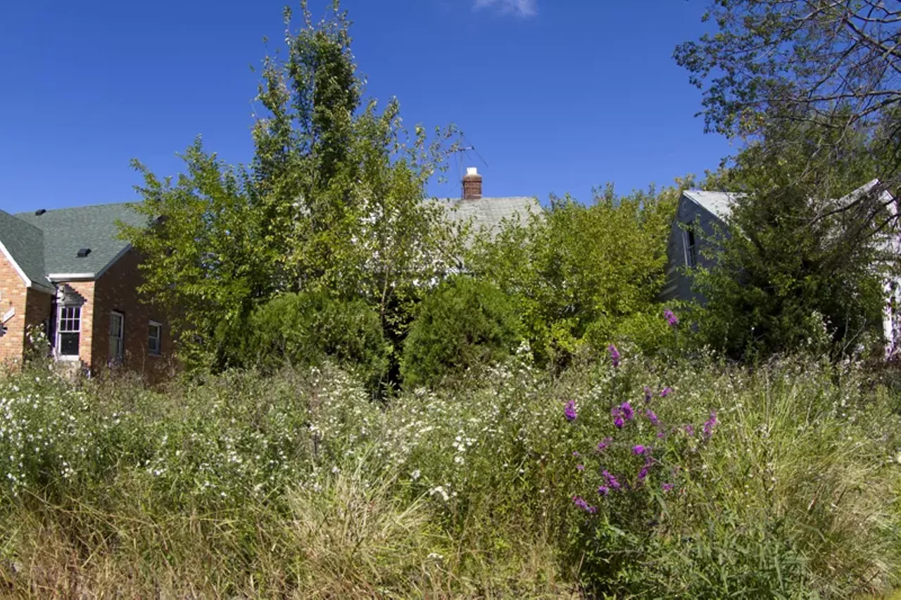 Image: 20 photos showing how nature is reclaiming Detroit