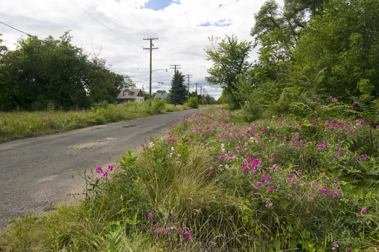 Image: 20 photos showing how nature is reclaiming Detroit