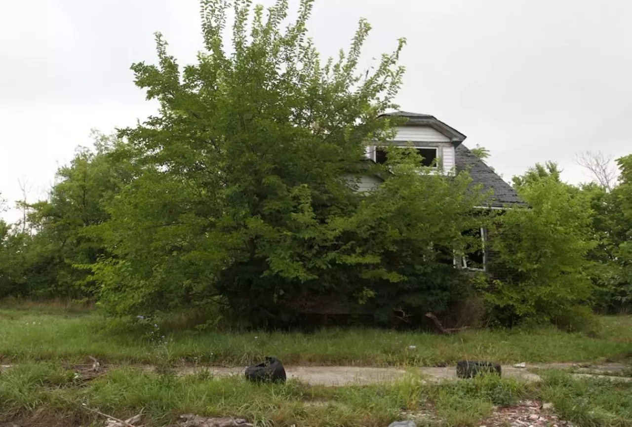 Image: 20 photos showing how nature is reclaiming Detroit