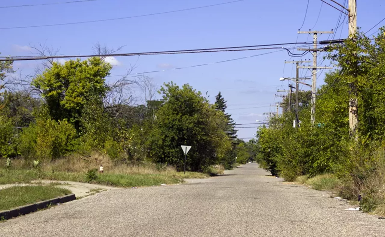 Image: 20 photos showing how nature is reclaiming Detroit