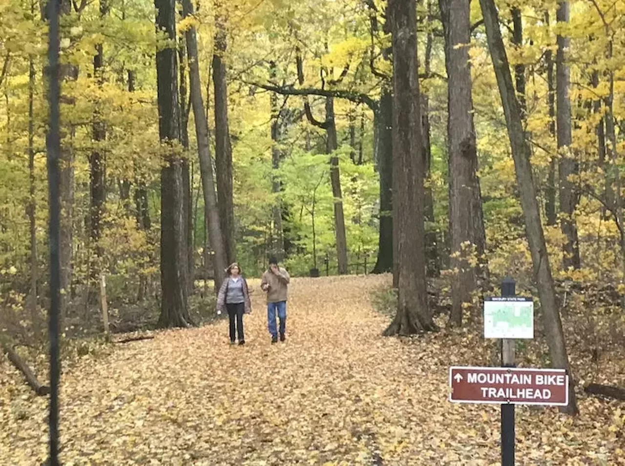 Maybury State Park 49601 Eight Mile Rd., Northville; 248-349-8390; dnr.state.mi.us Connect with nature at Maybury State Park by exploring the park's miles of trails spanning nearly 1,000 acres of gently rolling terrain, open meadow, and mature forest.