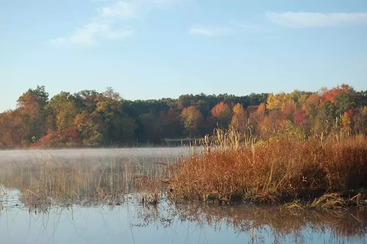 Brighton Recreation Area 6360 Chilson Rd., Howell; 810-229-6566; dnr.state.mi.us Brighton Recreation Area provides 4,947 acres of recreation fun and a bunch of hills interspersed with some lakes, with several miles of trails available for equestrian, mountain biking, and hiking.