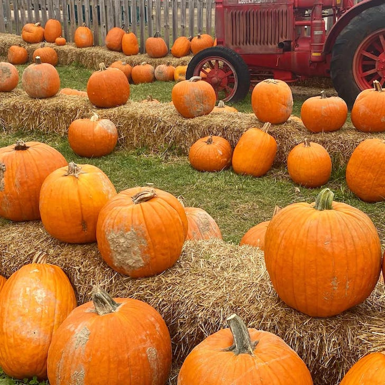 Blake's Orchard & Cider Mill
17985 Armada Center Rd., Armada; 586-784-5343; blakefarms.com
With haunted hayrides, a three story haunted barn, zombie paintball, pumpkins, apples, Blake&#146;s is a vertiable autumn wonderland. 
Photo via Blake's Orchard & Cider Mill/Facebook