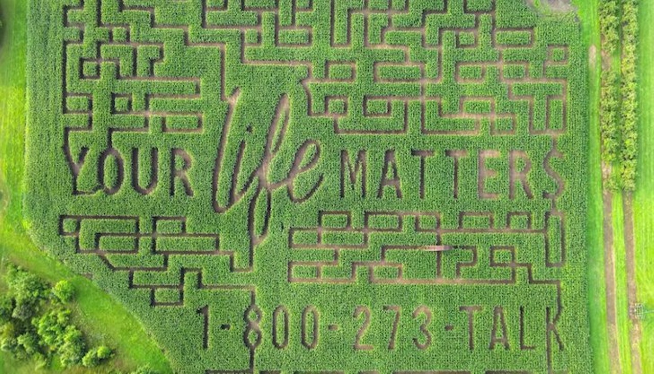 Gull Meadow Farms 
8544 Gull Rd., Richland; 269-629-4214; gullmeadowfarms.com
This year, Gull Meadow Farms corn maze has a very special message &#147;Your Life Matters.&#148; The corn maze features the number to the National Suicide Prevention Lifeline, which is also painted on one of the farms tractors as well.
Photo via Gull Meadow Farms/Facebook