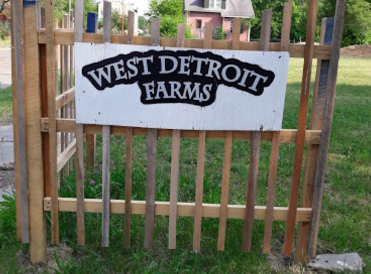 West Detroit Farms
4005 Webb St., Detroit; 313-454-1860;  westdetroitfarms.org
West Detroit Farms is combating food insecurity by providing farming and gardening in the Westside of the city.
Photo via Google Maps