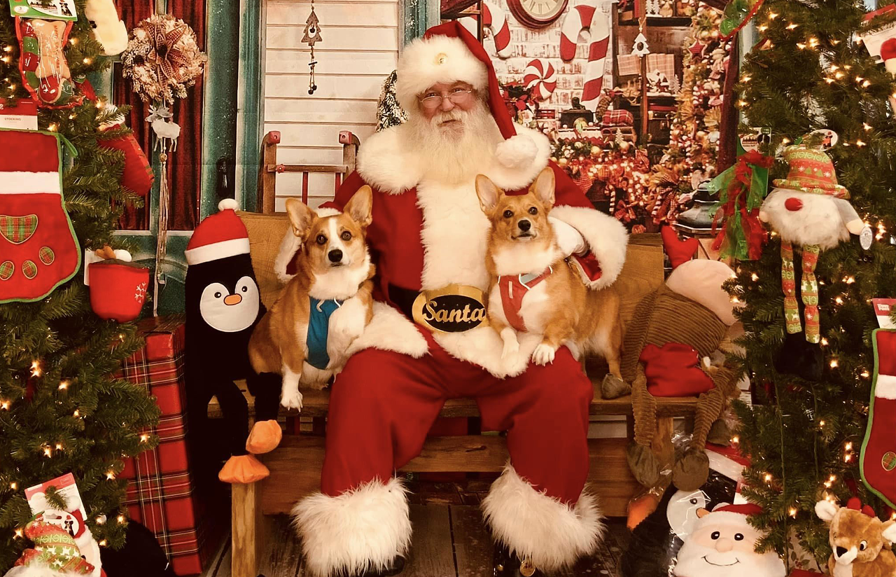 
Family Pet Photos with Santa
When: Dec. 2 from 10 a.m.-1 p.m.
Where: Detroit K-9 Pet Supplies
What: A holiday event
Who: Detroit K-9 Pet Supplies
Why: Bring your family and your pets for free photos with Santa. Plus, meet morning show host Jay Towers. 
