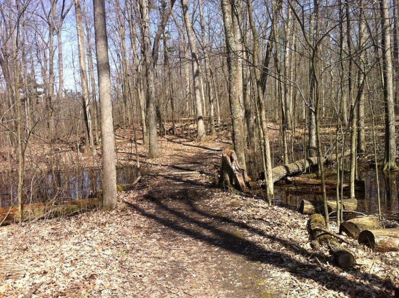 Graham Lakes Trail
Lake Orion
Also known as the Orange Loop, this trail goes on for 3.6 miles. This trail is the biggest out of the Bald Mountain Recreation Area&#146;s trails. Hikers can expect to see six lakes and trek over many hills and ridges, one of the highest points reaching 60 feet. 
Photo via Alltrails user kevin coppock