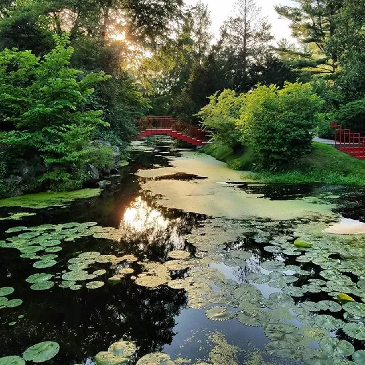 Dow Gardens, Midland Gardens, a conservatory, history attractions, and pieces of artwork fill the Dow Gardens, making it a perfect place to spend the day and keep busy.(Photo via Instagram, @htr326)
