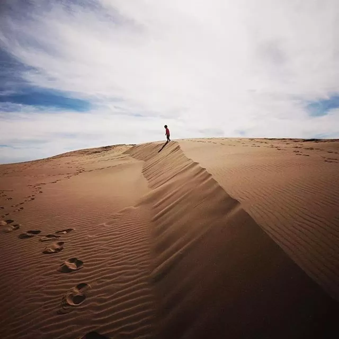 Silver Lake State Park, Mears Surrounded by Lake Michigan, sand dunes, and forests as far as the eye can see, Silver Lake State Park is the perfect getaway to hide in serenity.(Photo via Instagram, @silverlake_sp)