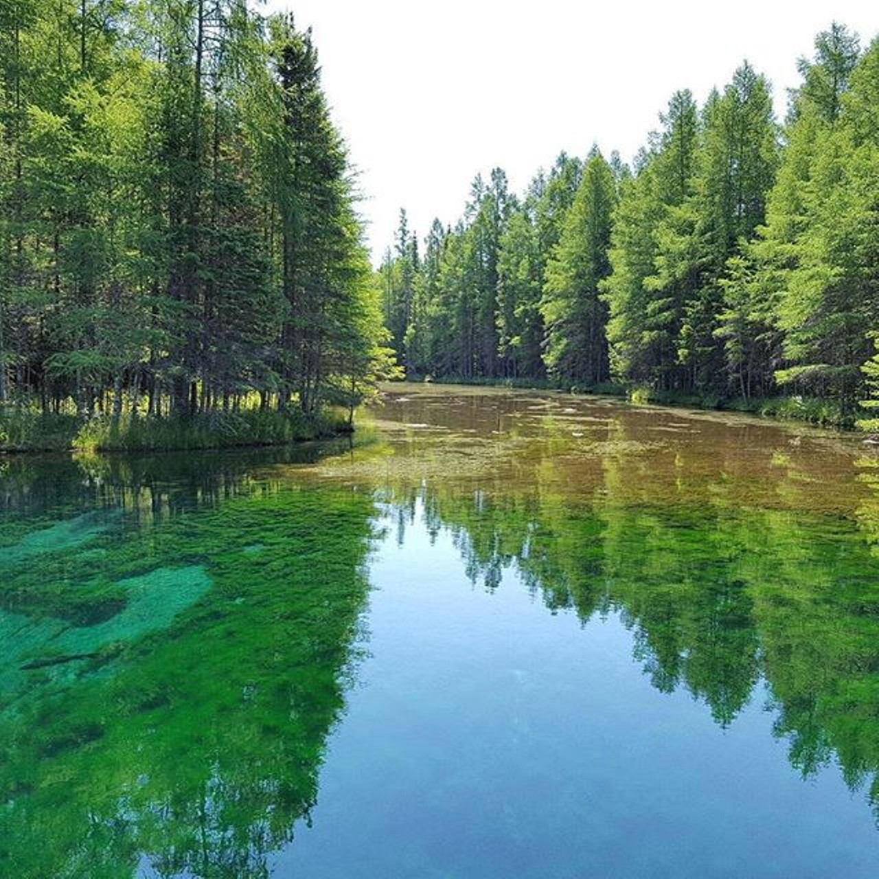 Kitch-iti-kipi, Manistique
Previously named &#145;Mirror of Heaven&#146; by the Native Americans, Kitch-iti-kipi is Michigan&#146;s largest spring that has a constant temperature of 45 degrees fahrenheit, so it never freezes and can be enjoyed during any season.(Photo via Instagram @stephanietyszkiewicz)