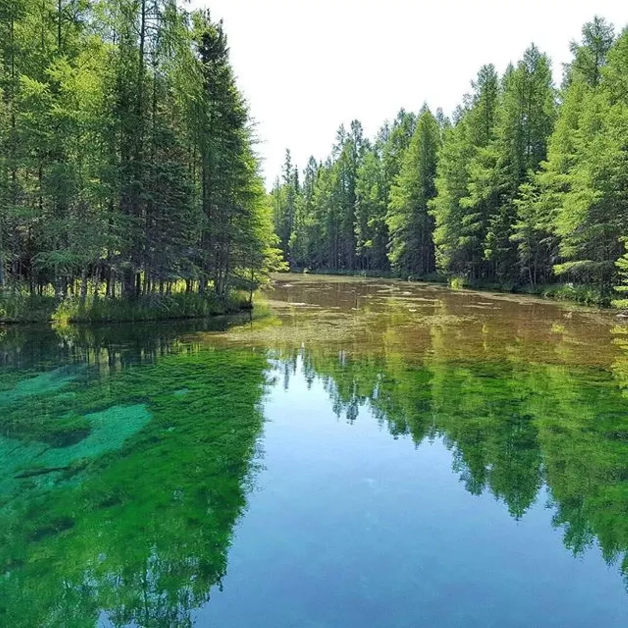 Kitch-iti-kipi, Manistique Previously named &#145;Mirror of Heaven&#146; by the Native Americans, Kitch-iti-kipi is Michigan&#146;s largest spring that has a constant temperature of 45 degrees fahrenheit, so it never freezes and can be enjoyed during any season.(Photo via Instagram @stephanietyszkiewicz)