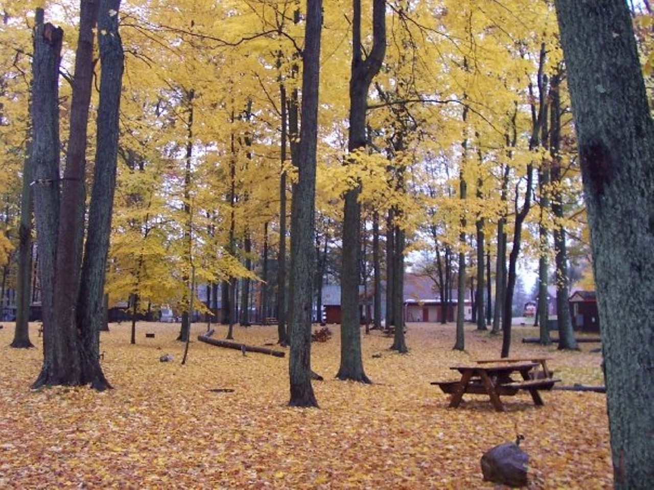  Duke Creek Campground 15190 White Creek Ave NE, Cedar SpringsEnjoy indoor and outdoor activities in these 36 acres located north of Grand Rapids. Camping cabins are offered with complimentary WiFi and hot showers. Duke Creek is loaded with family activities such as disc golf, swimming, basketball, tetherball, hayrides, indoor games, and volleyball.
Photo via  Duke Creek Campground / Facebook 