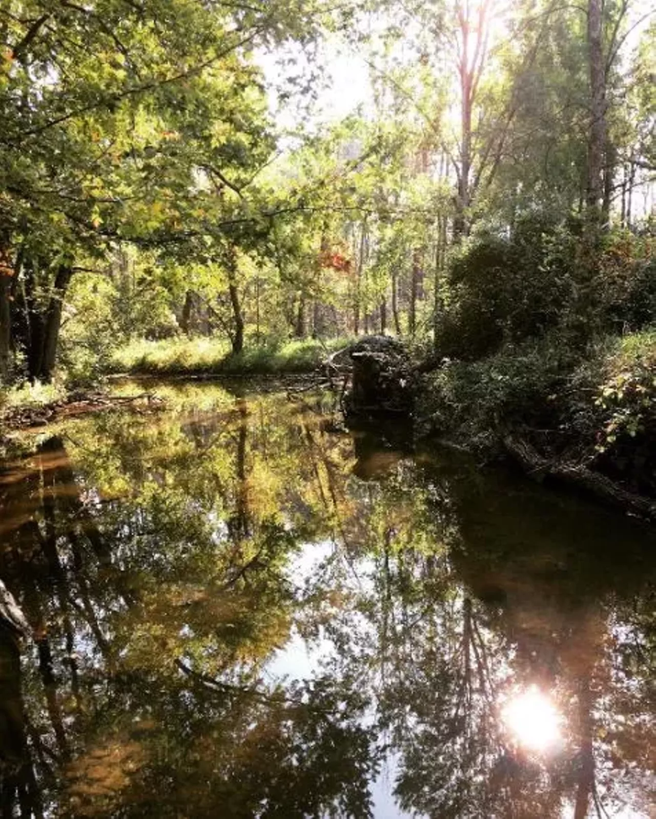 Sanilac Petroglyphs Historic State Park Cass City This peculiar historical site is like nothing you&#146;ve ever seen. The park contains the only known Native American petroglyphs, or prehistoric rock carvings, which visitors can spot in Sanilac&#146;s ample supply of sandstone. Hike a trail and play the most interesting game of Eye Spy imaginable. Photo via IG user @delta_child
