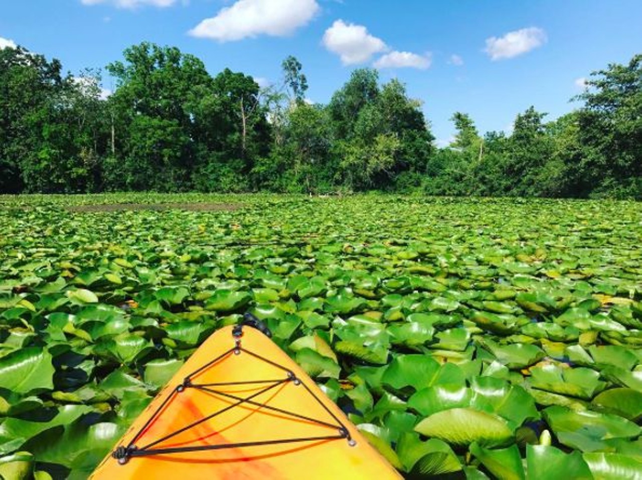 Gallup Park Ann Arbor
This Ann Arbor recreational area offers every activity imaginable, from hiking trails to fishing. Not only that, but its canoe livery offers canoe, two-person kayak, one-person kayak, children&#146;s kayak, paddleboat, and rowboat rentals in addition to concessions, merchandise and &#147;river-themed programs.&#148;
Photo via IG user @lastnameeverfirstname