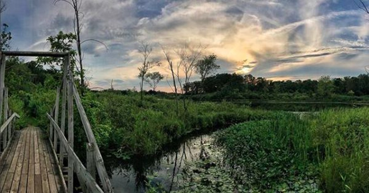 Bald Mountain Recreation Area
Lake Orion
This recreation area is known for its picturesque fishing and swimming spots. If you are looking for a challenge, hike the 15-mile marked trail that contains some of the most rugged terrain in southern Michigan. 
Photo via IG user @linden_today