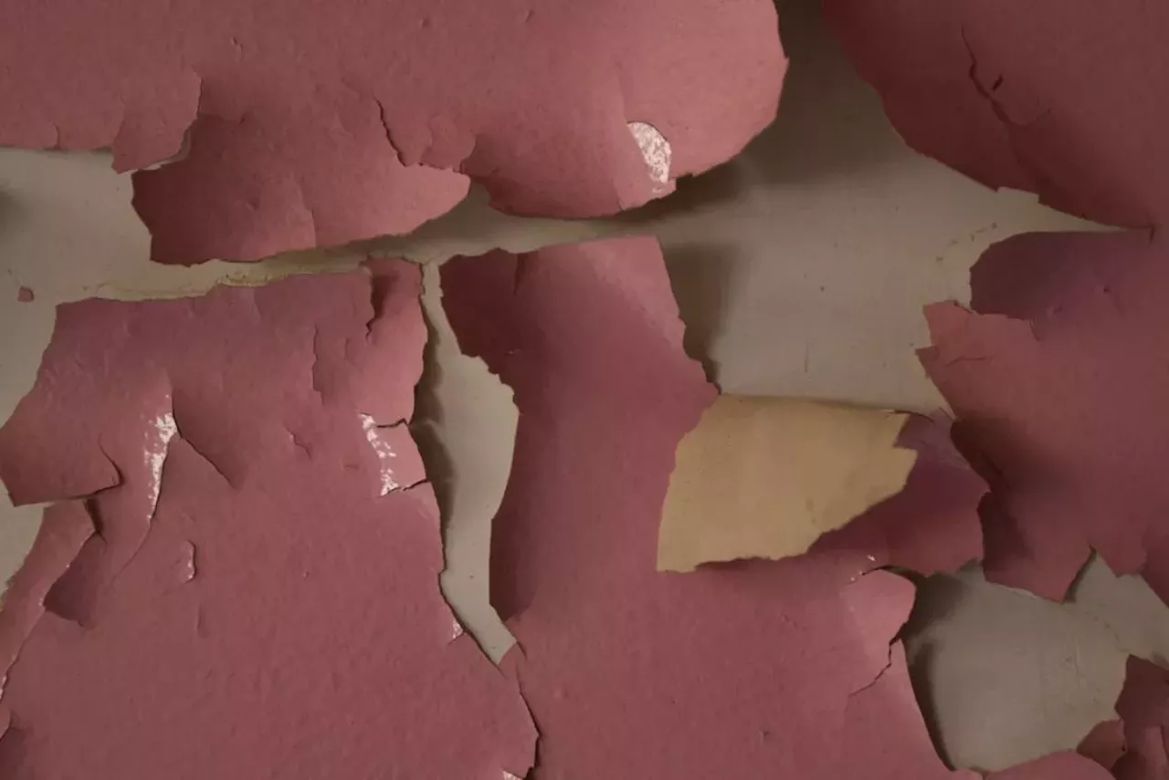 Image: 25 photos that show Detroit is pretty in pink