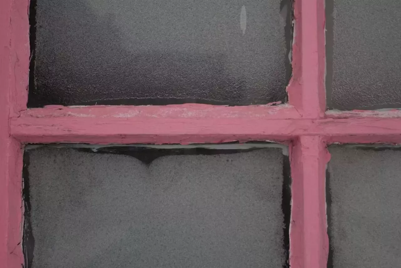 Image: 25 photos that show Detroit is pretty in pink
