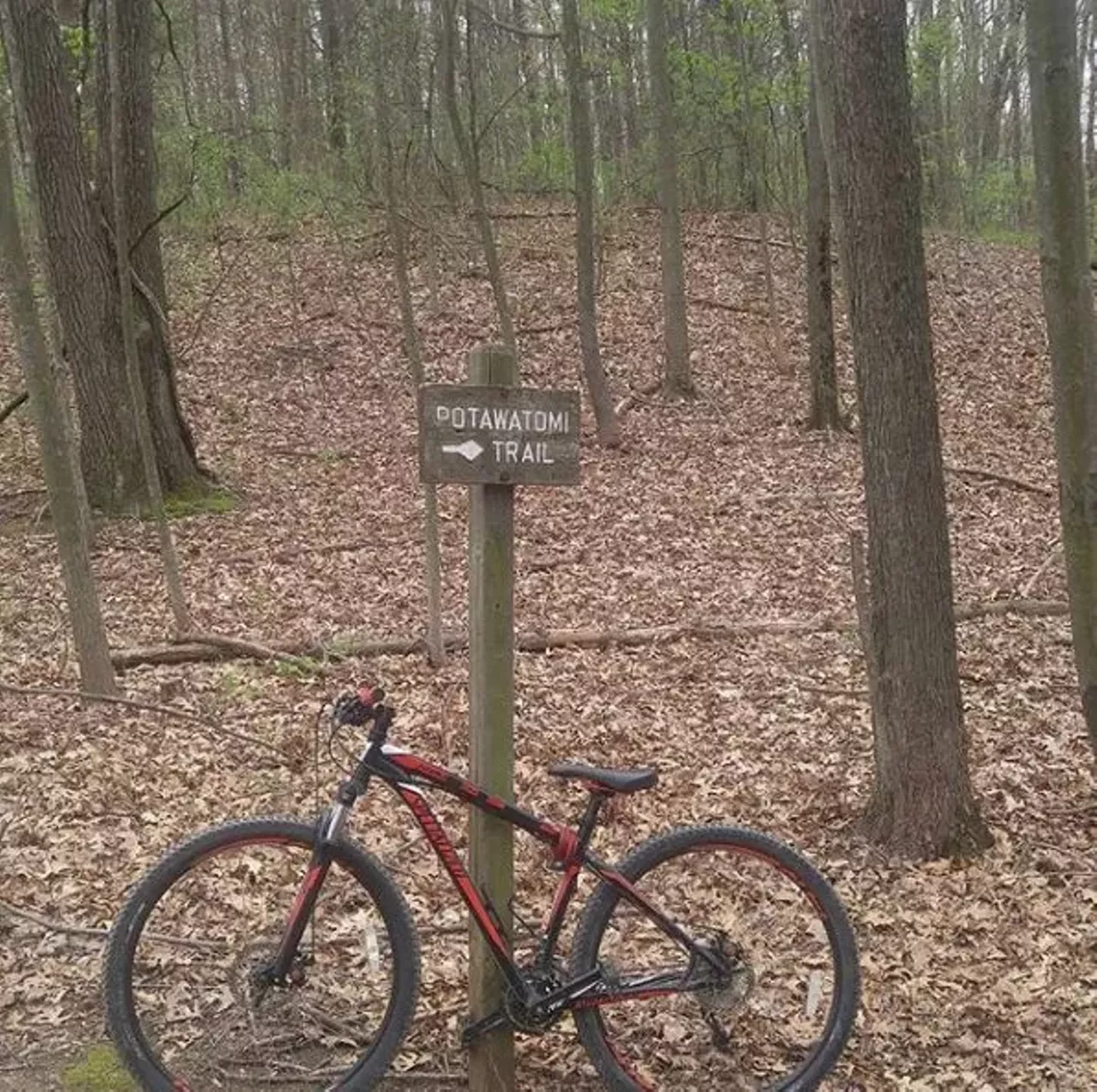 Potowatomi Trail Pinckney This trail is gnarly (in a good way). Lots of elevation changes, roots, and rocks so be wary but have fun on this nearly-18-mile loop because it is quite a workout. Photo via IG user @kpat919