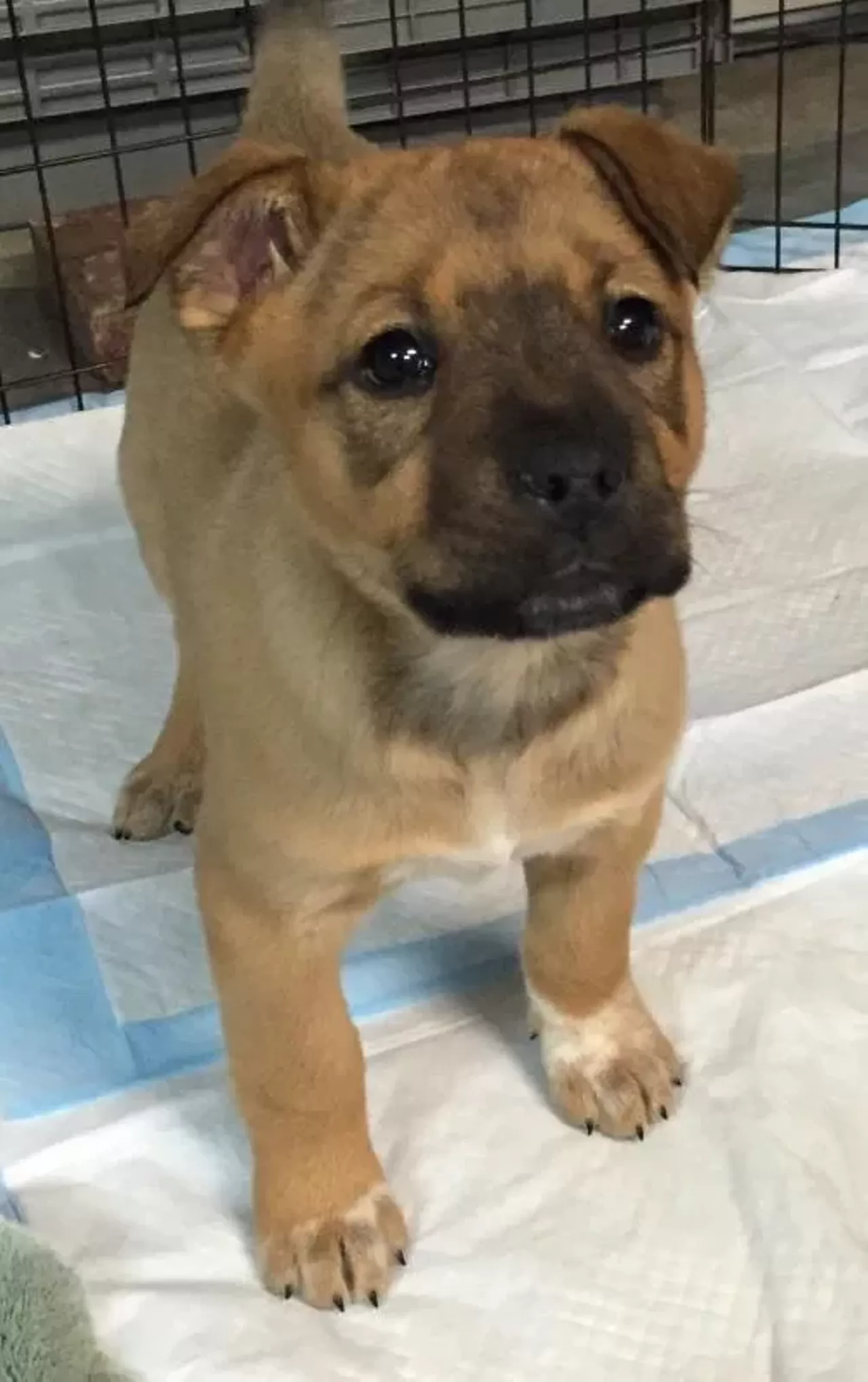 Paula is a classy lady who needs a classy home.