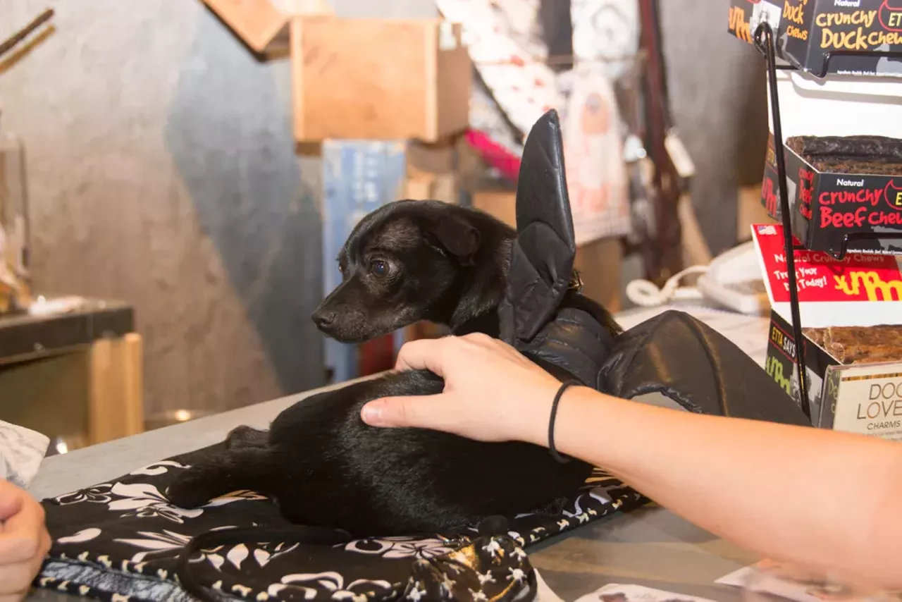 Image: 30 Images From Detroit Design Fest's Eastern Market After Dark