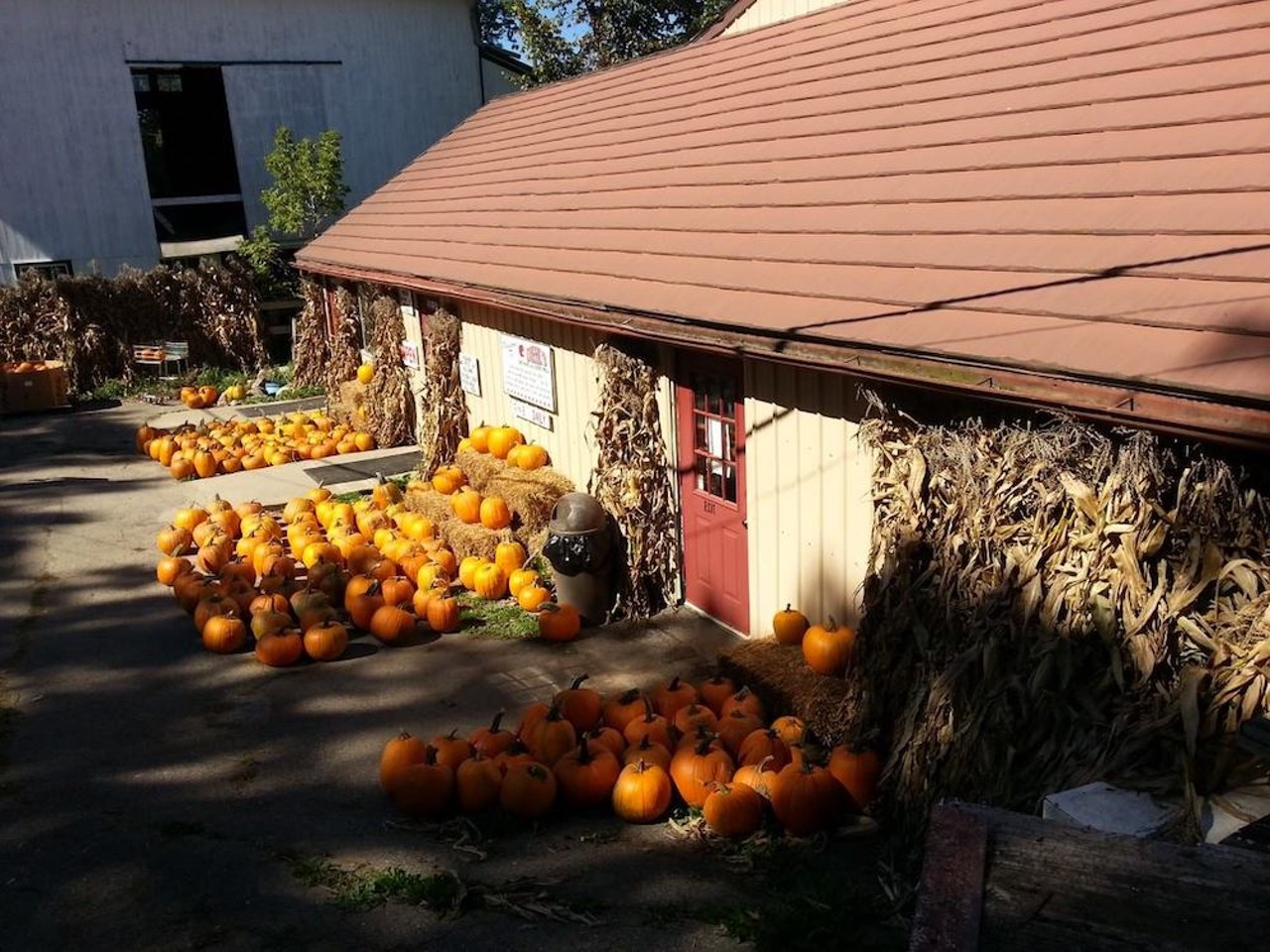 Diehl's Orchard & Cider Mill
1479 Ranch, Holly; 248-634-8981; diehlsorchard.com
For more than 60 years Diehl's Orchard & Cider Mill has grown fresh produce. They&#146;re known for their annual Ciderfest, which is slated for Saturday, Sept. 26 in 2020. The orchard also offers different activities such as a corn maze, hay ride, and pony rides.
Photo via Diehl's Orchard & Cider Mill/Facebook
