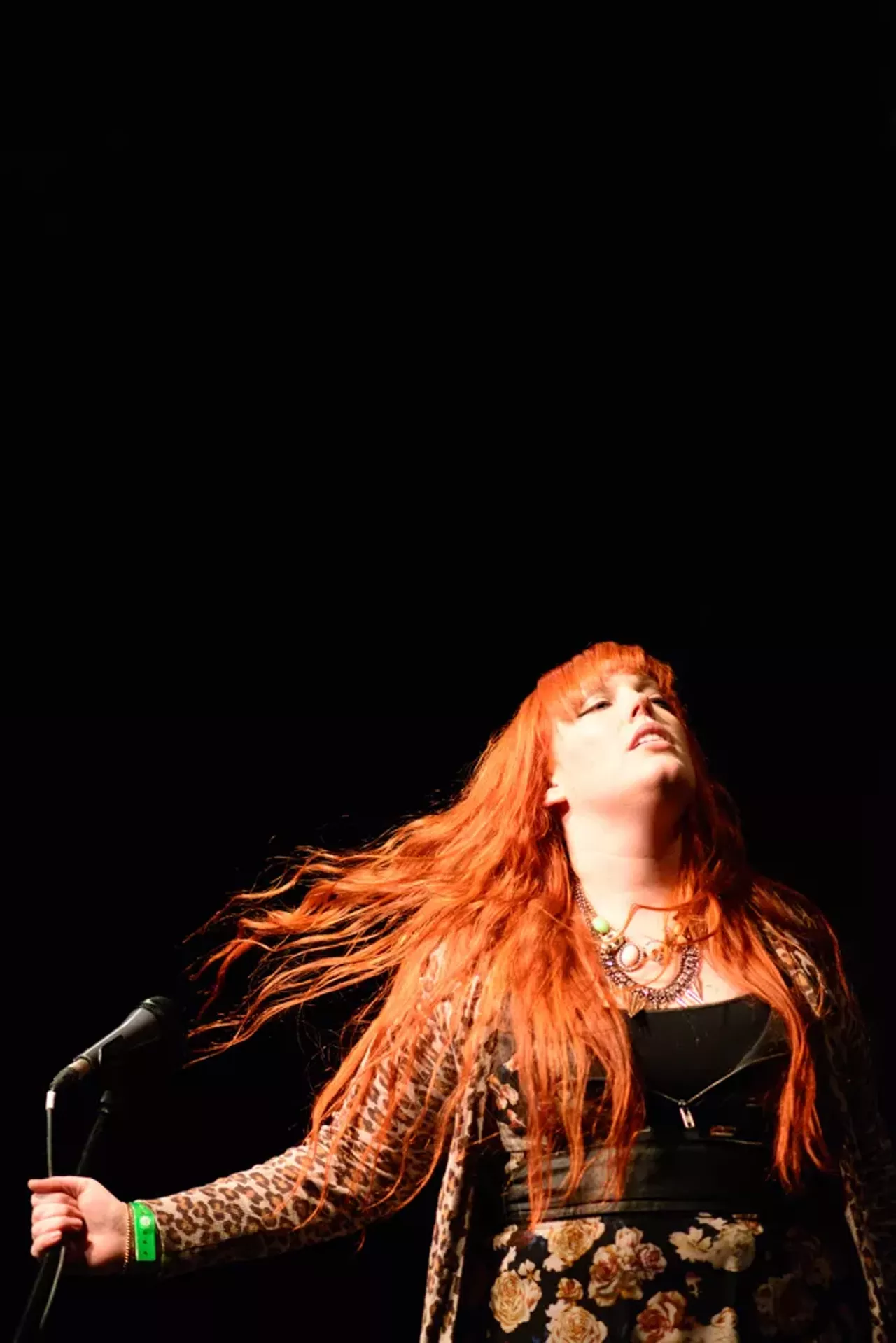Image: 32 badass photos from the Hamtramck Music Festival