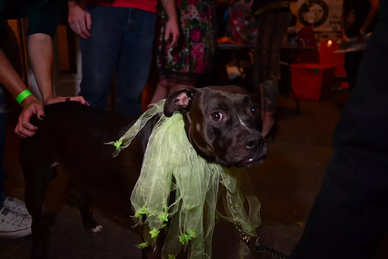 Image: 48 photos of the beards, babes, and fire breathers we saw at the Circus of Whiskers