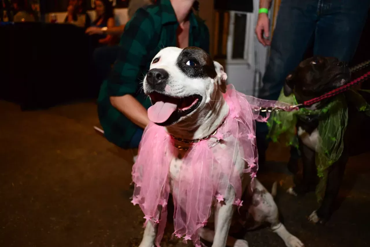 Image: 48 photos of the beards, babes, and fire breathers we saw at the Circus of Whiskers