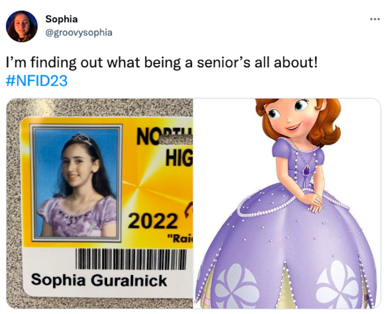 Image: 85 hilarious student ID photos by North Farmington High School seniors