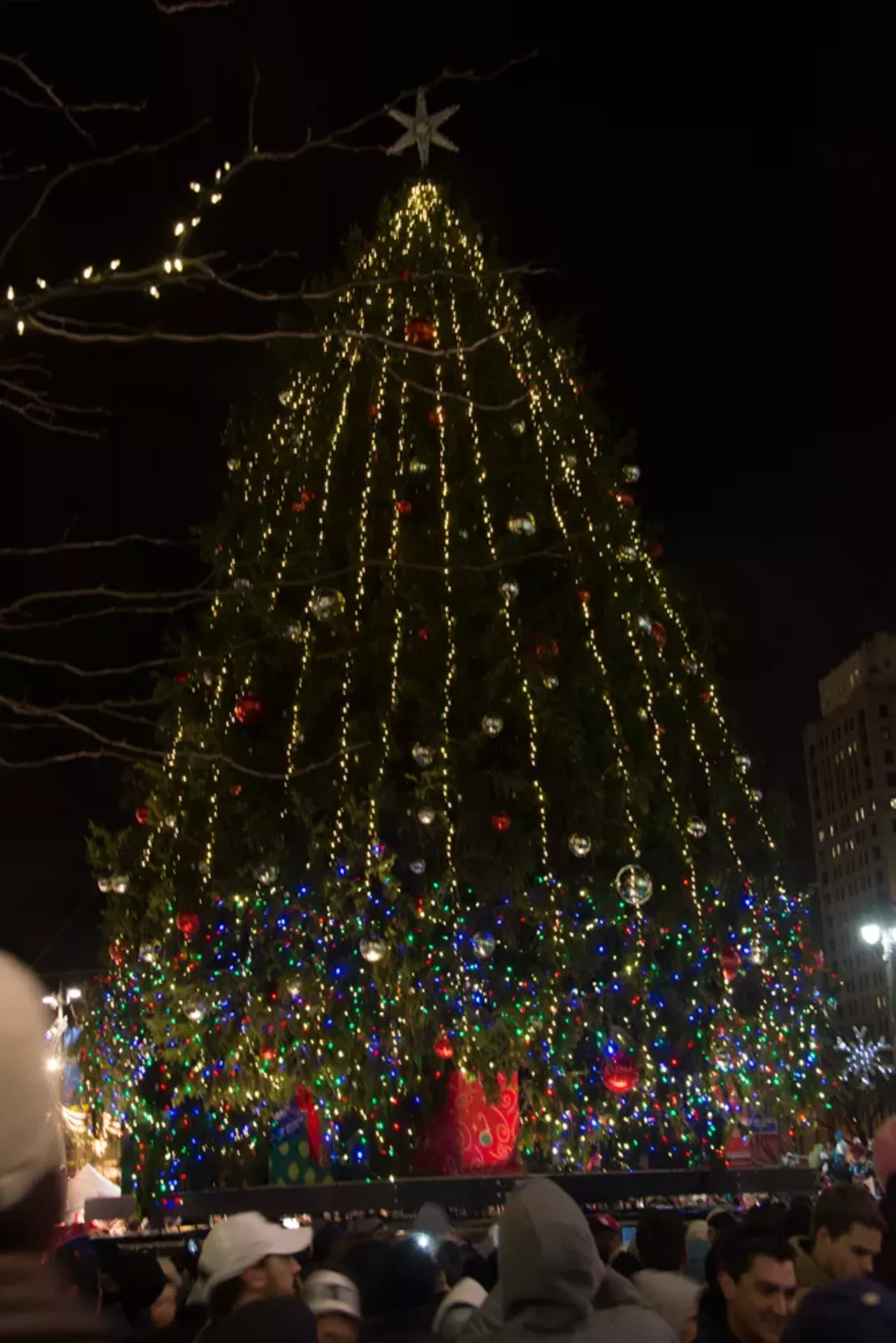 Image: 90 Pictures From Detroit's Tree Lighting Ceremony